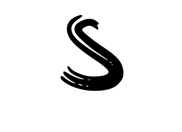 Old Brush Stroked Mono Letter S Review